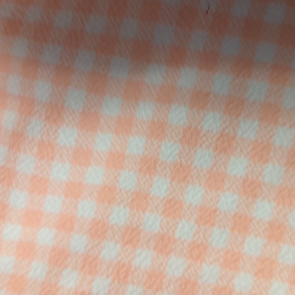 2 for $20 Never worn pink and white checkered miniskirt - Picture 3 of 3